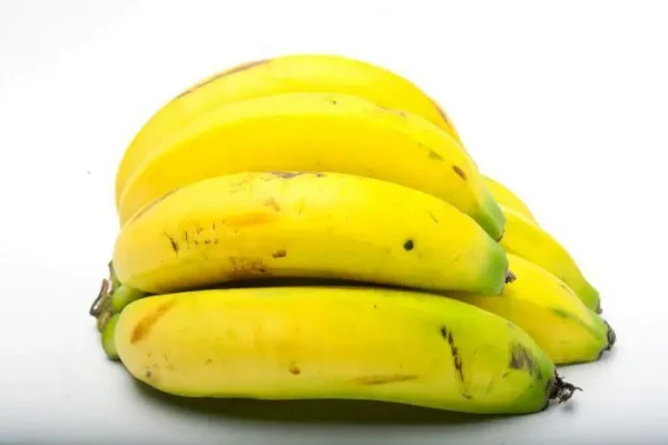 BANANO CRIOLLO  KLS
