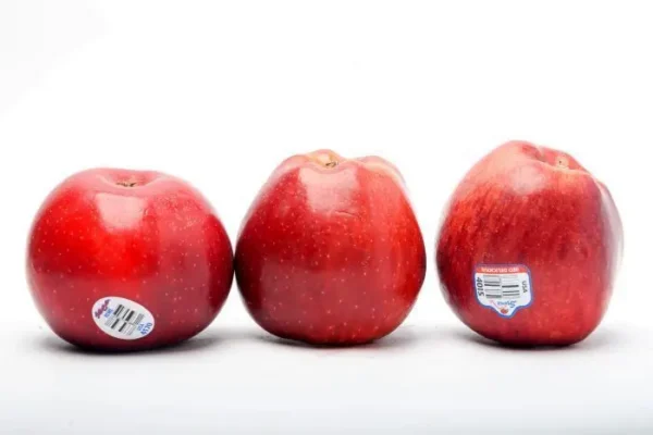 MANZANA ROYAL GALA  KLS