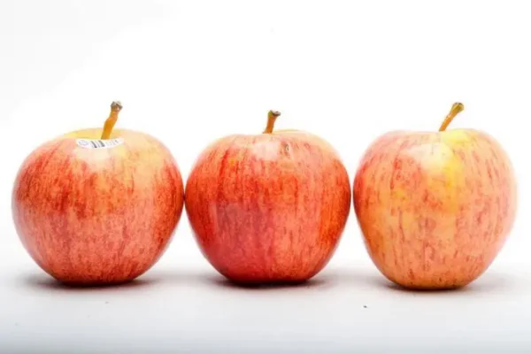 MANZANA ROJA IMPORTADA  KLS
