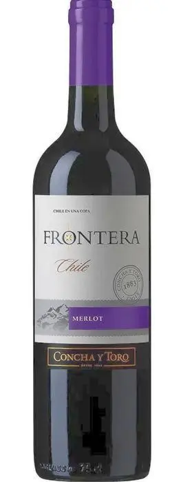 VINO TINTO FRONTERA MERLOT PREMIUM 750 M UND
