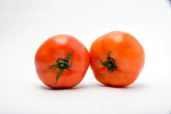 TOMATE LARGA VIDA X  KLS