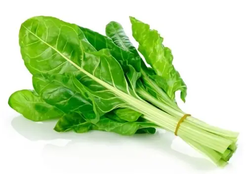 ACELGA ORGANICO FRESKA 500 G UND