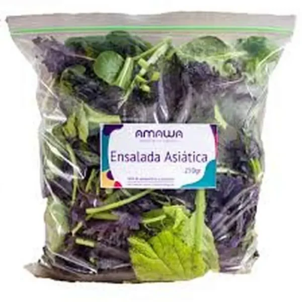 ENSALADA ASIATICA AMAWA 100 G UND
