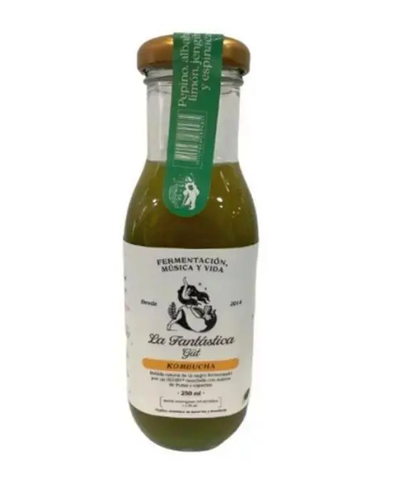 BEBI LA KOMBUCHA LA FANTASTICA 250 ML UND