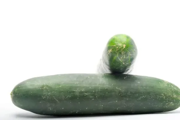 PEPINO COHOMBRO  KLS