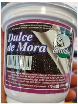 DULCE DE MORA CASTILAC 550 G UND