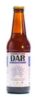 BEBI KOMBUCHAS DAR JENJIBRE 330 ML UND