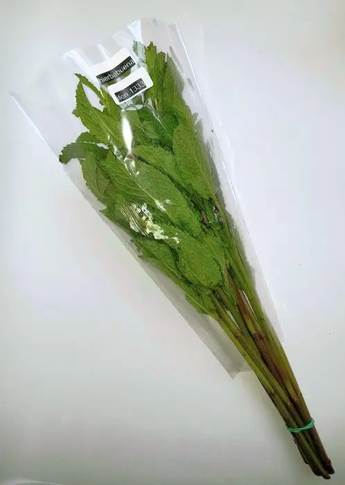 AROMATICA HIERBABUENA FRESCA CAPUCHON UN UND