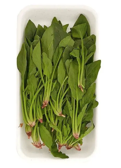 ESPINACA BABY VERMALI 200 G UND