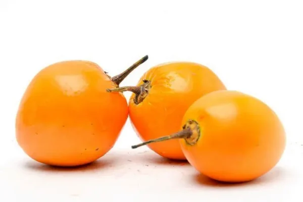 TOMATE DE ARBOL AMARILLO  KLS
