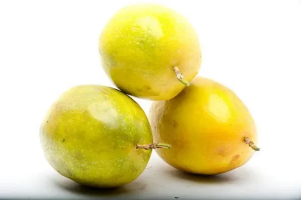 MARACUYA  KLS