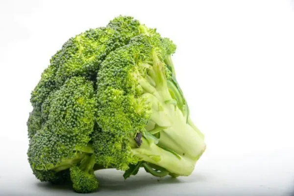 BROCOLI  KLS