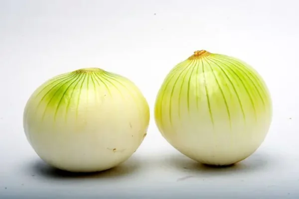 CEBOLLA CABEZONA BLANCA  KLS