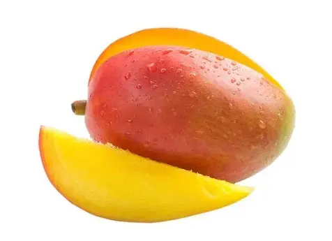 MANGO TOMY  KLS