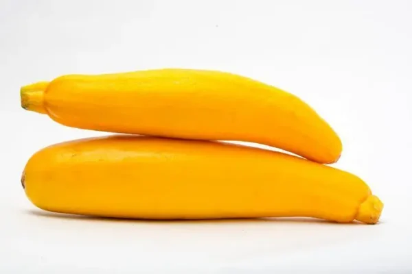 ZUKINI AMARILLO  KLS