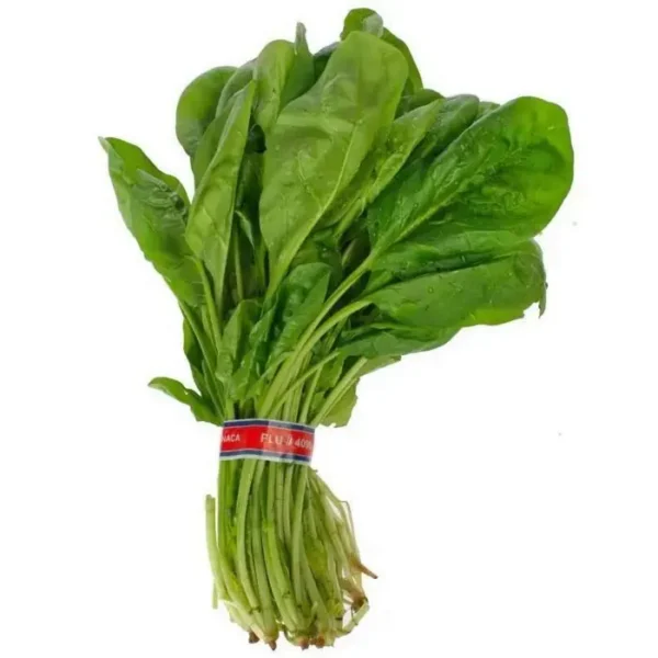 ESPINACA ATADO UND UND