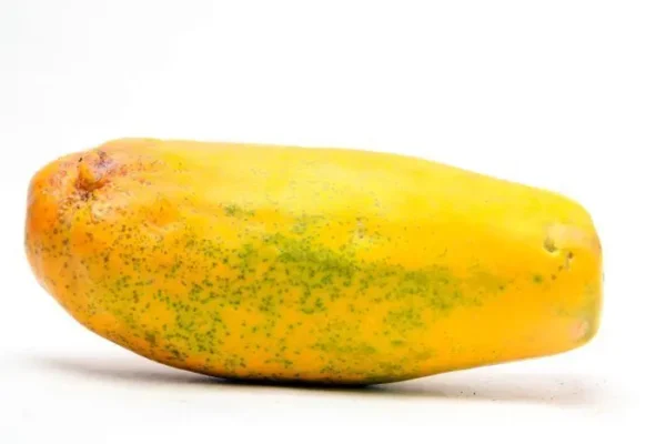 [1384-KLS] PAPAYA MARADOL  KLS