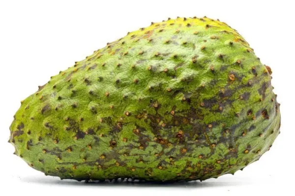 [1526-KLS] GUANABANA  KLS