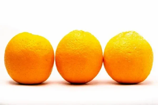 [976-KLS] NARANJA TORONJA-GREY  KLS