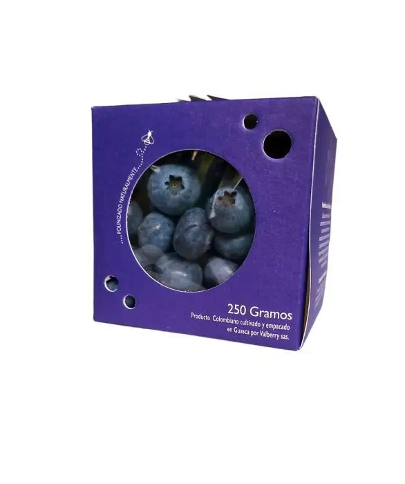 [9365-UND] ARANDANOS PREMIUM VALBERRY 250 G UND