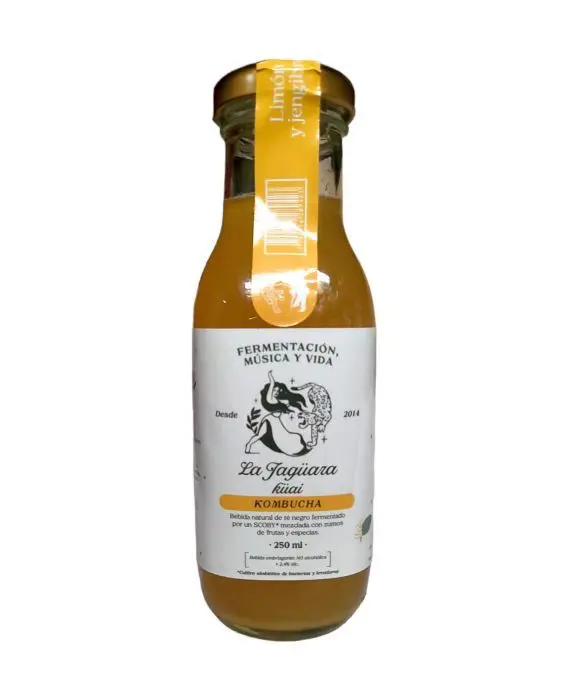 [10348-UND] BEBI LIMON JENGIBRE KOMBUCHA 250 ML UND