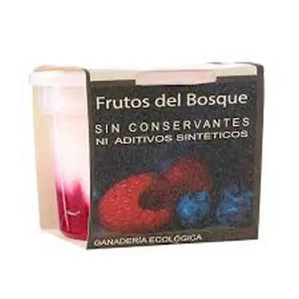 [9820-UND] YOGURT GRIEGO DEJAMU FRUTOS DEL BOSQ 160 UND