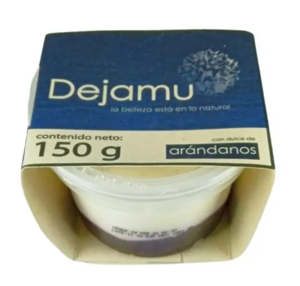 YOGURT SKYR DEJAMU ARANDANOS 150 G UND