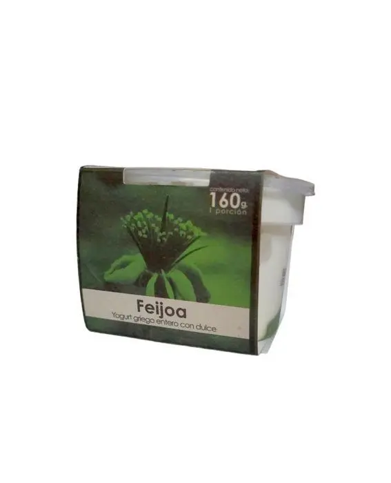 YOGURT GRIEGO DEJAMU FEIJOA 160 G UND