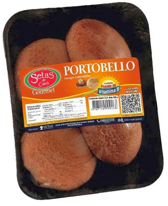 [1326-UND] CHAMPINON PORTOBELLO POTIN 320 G UND