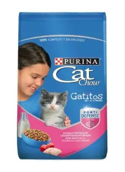 [4685-UND] ALIMEN GA CAT CHOW GATITOS SUR 500 GR UND