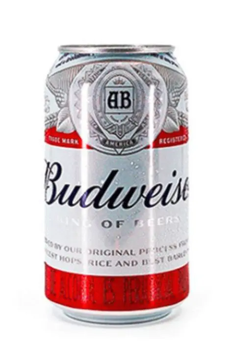 [10924-UND] CERVEZA BUDWEISER 355 ML UND
