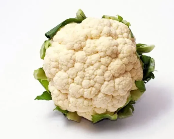 [908-KLS] COLIFLOR  KLS