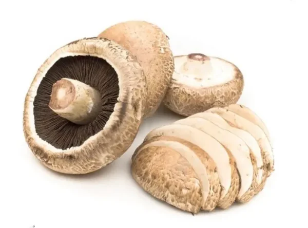 [1386-UND] CHAMPINON PORTOBELLO 250 G UND