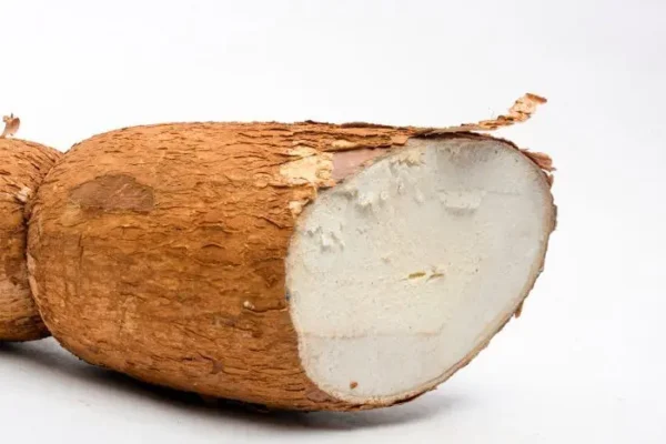 [1016-KLS] YUCA ARMENIA  KLS