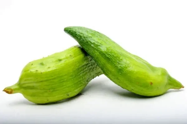 PEPINO GUISO X  KLS