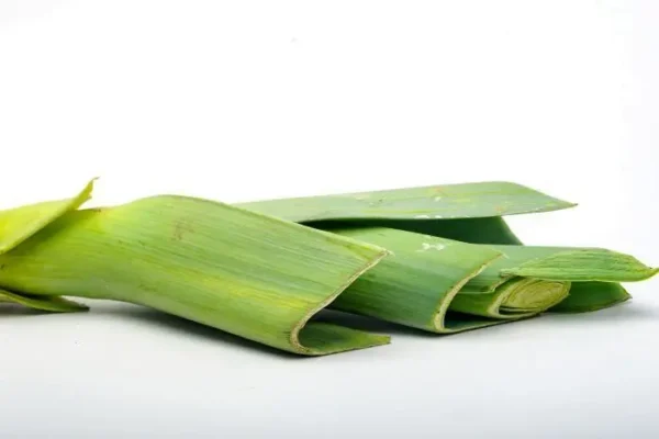CEBOLLA PUERRO  KLS