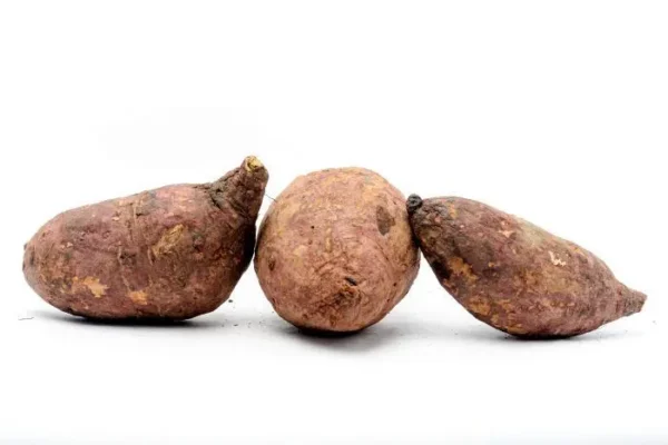 [925-KLS] BATATA  KLS