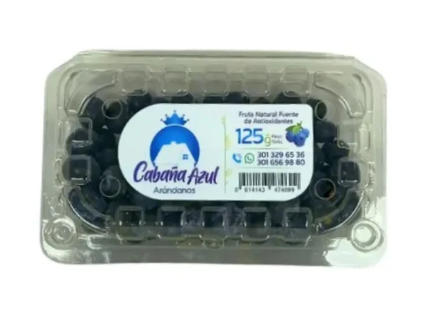 ARANDANOS BLUEBERRIES 125 GR UND