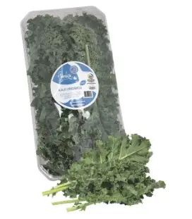 [9965-UND] KALE ORGANICO FRESKA 150 G UND