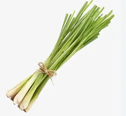 AROMATICA LIMONARIA FRESCA CAPUCHON UN UND