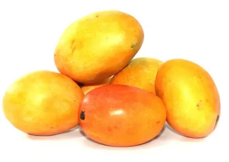 [961-KLS] MANGO AZUCAR – COMUN  KLS