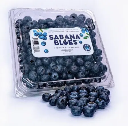 [12286-UND] ARANDANOS SABANA BLUES 500 G UND
