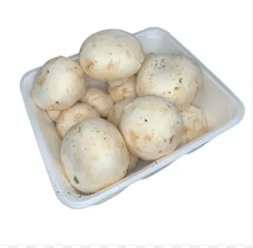 [11865-UND] CHAMPINON ENTERO DAYALCOL 250 G UND